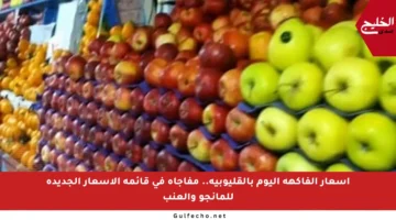 أسعار الفاكهة اليوم بالقليوبية.. مفاجأة في قائمة الأسعار الجديدة للمانجو والعنب